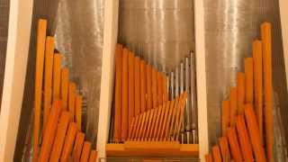 Tom Trenney Organist in Recital [upl. by Sherri]