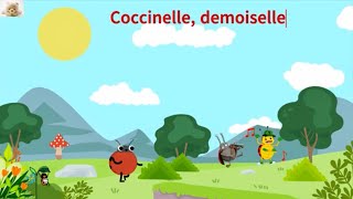 Coccinelle demoiselle  LAZO KIDS  Comptines et chansons pour les enfants [upl. by Erihppas130]