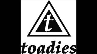 Toadies  Live  The Roxy Theatre West Hollywood CA USA 02101995 [upl. by Ocin200]