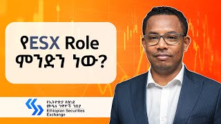 ካምፓኒዎች እንዴት List ይደረጋሉ  Dr Tilahun Esmael Kassahun the CEO of ESX  S09 EP97 [upl. by Marva]