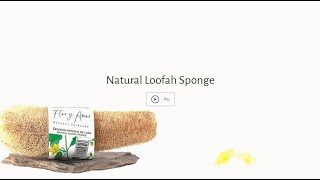 Natual Loofah Sponge  Flor y Amor organically grown in South Tenerife [upl. by Lorollas]