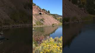 Amazing Fly Fishing Colorado River [upl. by Rebliw]