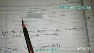 Euchromatin and heterochromatin hpu msc botany [upl. by Brigg237]