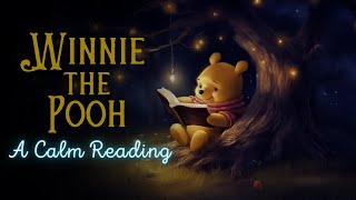 🧸 Reading of WinniethePooh  Full Audiobook for Sleep 😴 [upl. by Annelg]