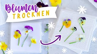 Blumen pressen amp trocknen Schnell amp ohne Farbverlust  Mikrowelle Bügeleisen Buch und Hängen [upl. by Zsa Zsa]