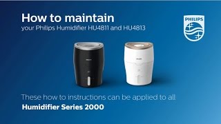 How to Maintain the Wick of Your Humidifier  Philips  Air Humidifiers [upl. by Theadora]