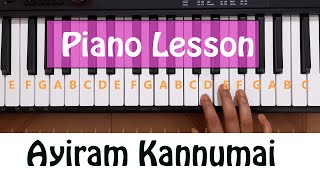 How to Play aayiram kannumai in piano  Learn PIANO [upl. by Maison656]