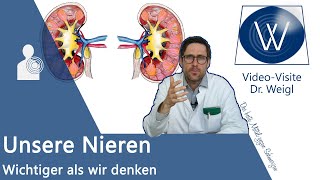 Unsere Nieren Aufbau Aufgaben amp Funktionsweise einfach erklärt  filtern Hormone Vitamin D etc [upl. by Robb]