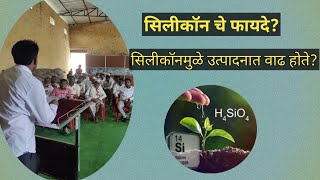 शेती मध्ये सिलिकॉन चे महत्व  Is silica a fertilizer [upl. by Ellimak207]