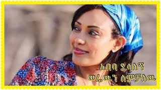 አበባ ደስአለኝ  ወሬዉን ሰምቻለዉ  Abeba desalegn music  Werewen Semchalew ethiopianmusic [upl. by Lot]