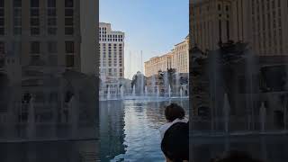 Fountains of Bellagio Las Vegas shorts [upl. by Almeeta]