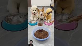 dog funny pets 8bit woodworking cute love CarryMinati [upl. by Jeana125]