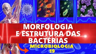 MORFOLOGIA E ESTRUTURA DAS BACTÃ‰RIAS  COLORAÃ‡ÃƒO DE GRAM  MICROBIOLOGIA [upl. by Lengel]