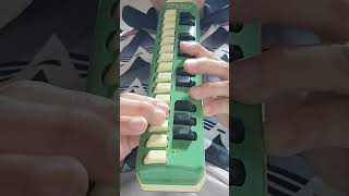 HOHNER melodica sopranoであの曲のアルトリコーダー部分を吹いてみた🎵渡良瀬橋森高千里 鍵盤ハーモニカ [upl. by Vyner]