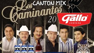 CANTON MIX CAMINANTES 2024 DJ FERNANDO [upl. by Eilraep]