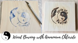 Wood Burning with Ammonium Chloride  Birdz of a Feather [upl. by Whiney]