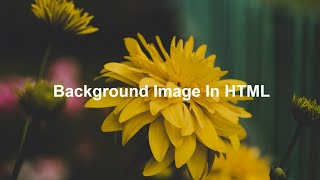 How To Add Background Image In HTML and CSS  HTML amp CSS For Beginners [upl. by Ackler]