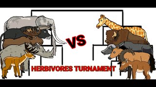 herbivores turnament animation—all animation [upl. by King]