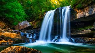 Nature Sounds water Healing to Relieve Stress Fatigue Depression Detox Emotions relaxation [upl. by Dyna]