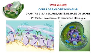 Chapitre 2 – 1ère Partie  La cellule et la membrane plasmique  Cours de Biologie du DAEUB [upl. by Wulf13]