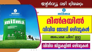 മിൽമയിൽ വിവിധ ജോലി ഒഴിവുകൾ Milma RecruitmentGovt jobsKMMFL JobsWalk in interview [upl. by Lamberto]