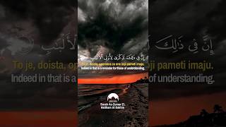 Beautiful Quran Recitation Surah AzZumar 21 Haitham Al Dakhin [upl. by Ciredor]