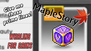 MAPLESTORY Whaling for Gains [upl. by Harwill419]