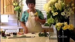 How to create a Calla Lily Boutonniere [upl. by Akcebar715]