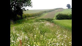 Mid Tier Countryside Stewardship Advice Webinar [upl. by Patman]