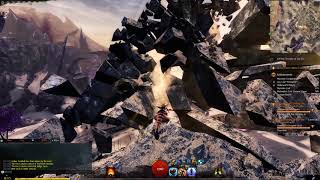 Guild Wars 2 Skyscale Lost collection  16 Maculate Fringe [upl. by Aldos192]