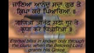 quotAnand Sahibquot Full Path HindiPunjabi Captions and Translation [upl. by Lekcar]