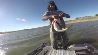 Bass Fishing Eastern Oregon with GP Custom Baits jigs [upl. by Dnalram]