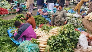 Dav numa sabzi  Taza Taza Sabzia  Daily Sabzi Mandi Update  Fresh and Healthy vegetables [upl. by Ahsurej]