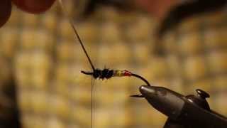 Tying the Signal Light Steelhead Fly Pattern [upl. by Aenej]