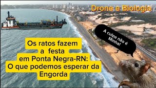 A PRAGA  A Praia de Ponta NegraRN tomada por Ratos A engorda o enrocamento e os ratos [upl. by Elatnahc285]