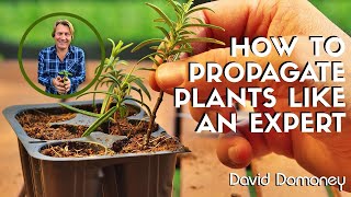 How to propagate plants like an expert  David Domoney [upl. by Kirwin]