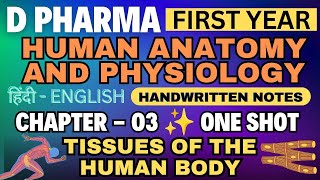 Tissue  Ch03  Human Anatomy and Physiology Notes  D Pharm 1st year tissue dpharma1styear hap [upl. by Gibbs]