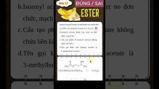 Trắc nghiệm Đúng sai hóa 12  ESTER mùi chuối chín dungsaiester dungsaihoa12 [upl. by Anivahs]