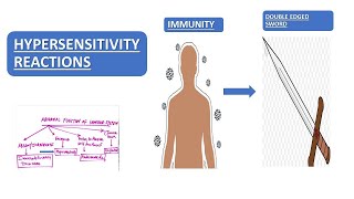 Hypersensitivity Reaction  Overview  Simplified Explanation  pathologymaster7044 [upl. by Eskil208]