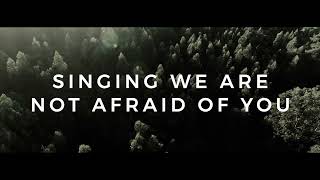 Not Afraid Official Lyric Video [upl. by Aciretehs]