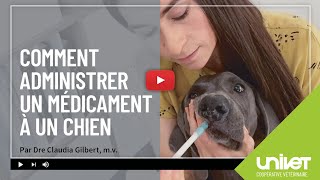 Comment administrer un médicament à un chien [upl. by Annaerdna]