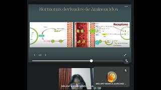 G5 FISIOLOGÍA SISTEMA ENDOCRINO [upl. by Innep]