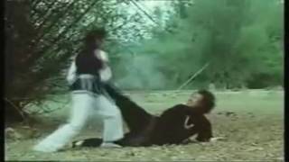 Kungfu movie fight depicting avenging woman  HaKwongLimkv [upl. by Etnohc]