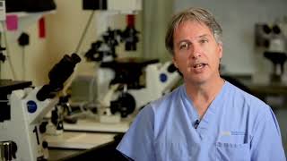 Dr Silverberg Discusses Antral Follicle Counts [upl. by Lancey]