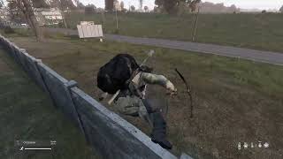 November 18 2024 End of DayZ Chernaurus [upl. by Lauree962]