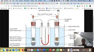 IB Bio  Diff types of Respirometer [upl. by Sabec]