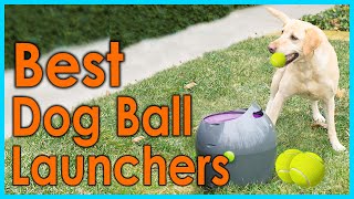 Best Dog Ball Launchers 2021 Top 5 Picks [upl. by Pontias838]