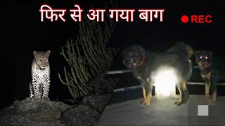 Bhotia dogs ll बाग आ गया ll bharatkdogs [upl. by Nnylakcaj]