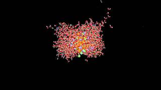 Molecular dynamics simulation of a solvated hydrophilic folded polymer chain [upl. by Longan]