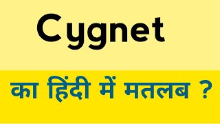 Cygnet meaning in hindi  Cygnet ka matlab kya hota hai [upl. by Crooks622]